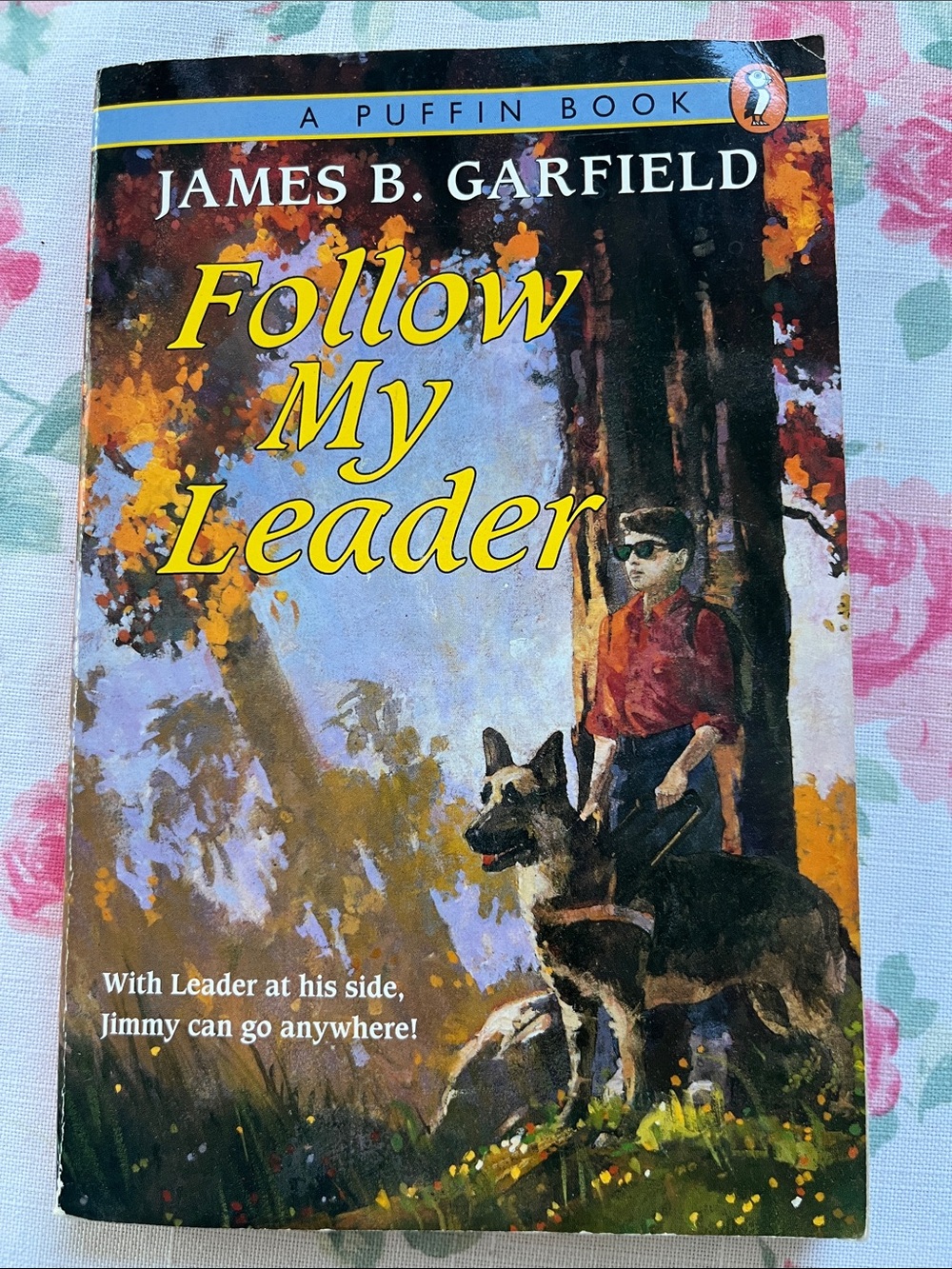🌺3 for $10 Follow My Leader by James B. Garfield